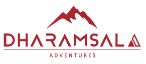 Dharamsala Adventures