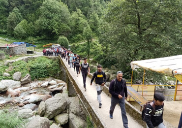 Riverside-Camp-Dharamshala-003