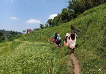 Riverside-Camp-Dharamshala-009
